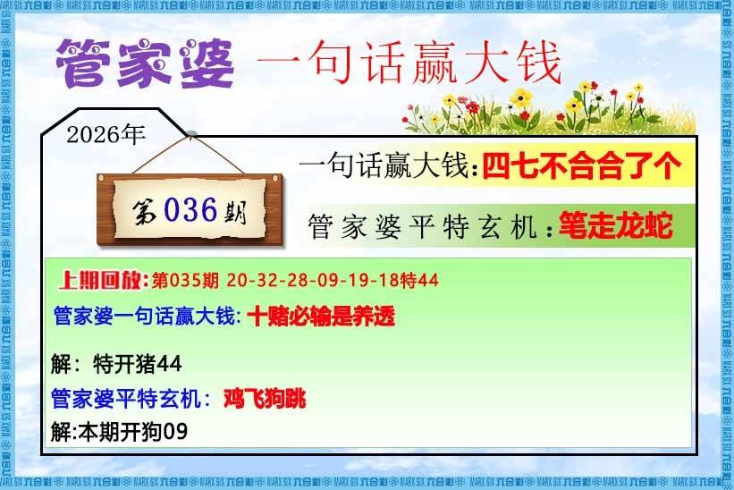 管家婆一句赢大钱