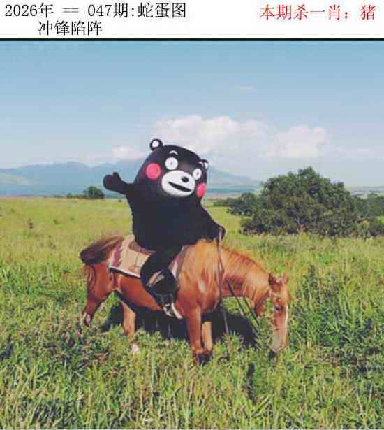 正版蛇蛋图