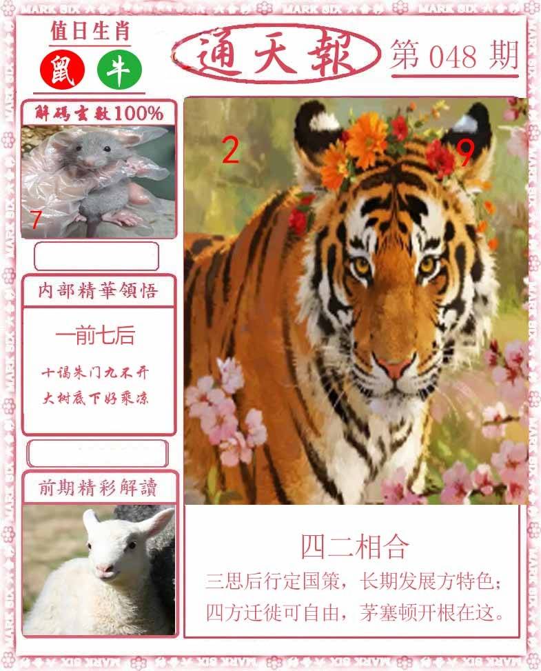 正版通天报