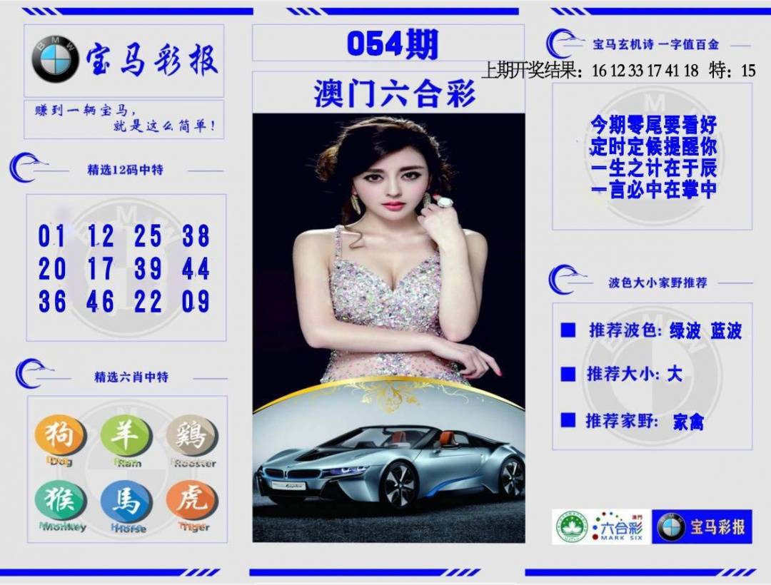 宝马彩报